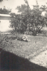 sept 37 als een veulen in de wei